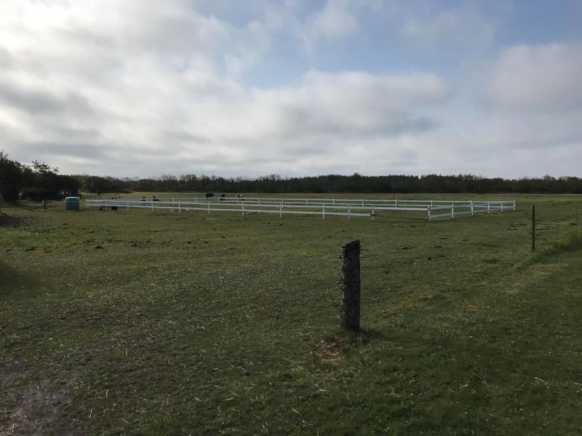 Bb-Vadehavet Ferielejlighed Til 6 Personer Ved Nationalpark Vadehavet Ribe Exterior photo
